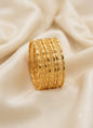 Bangles Set - 0029